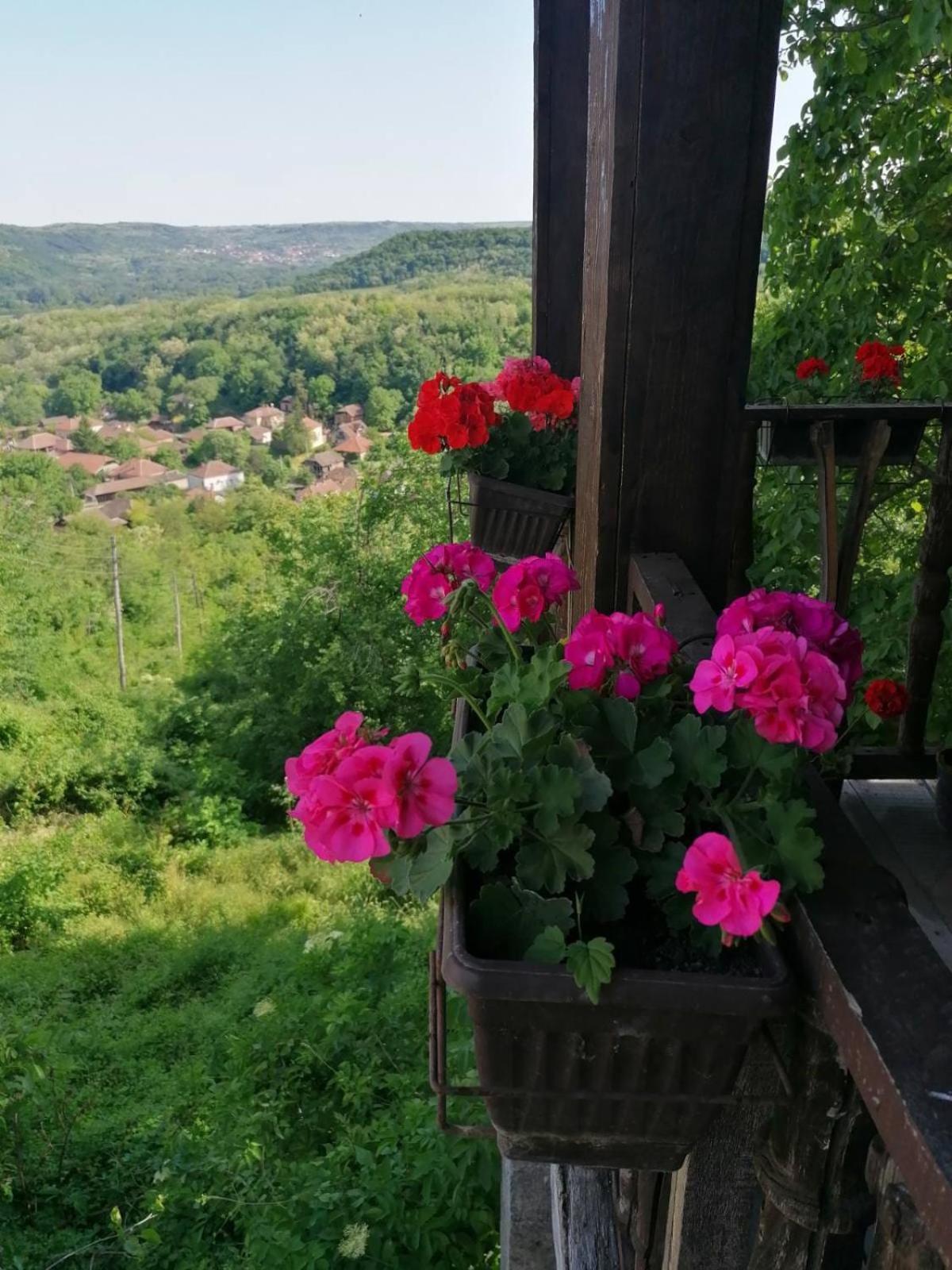 Country House Pivnica Milic Rogljevo Exterior foto