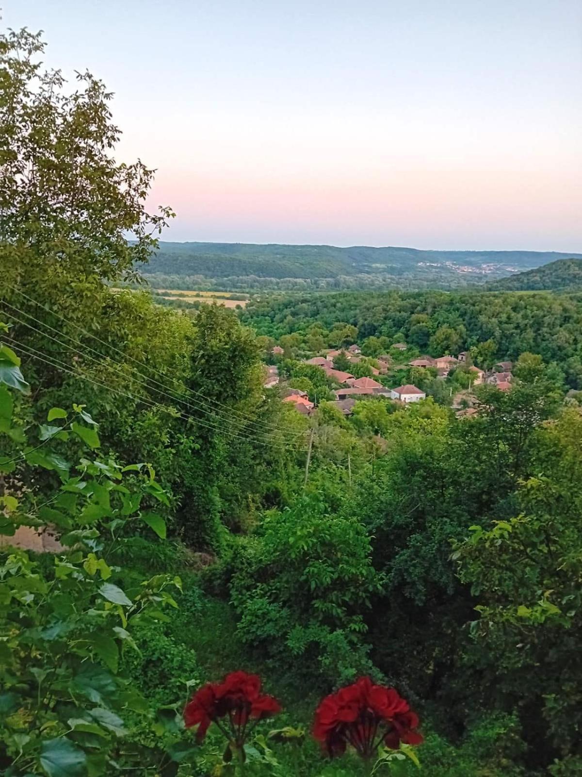 Country House Pivnica Milic Rogljevo Exterior foto